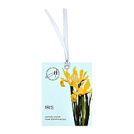 Саше ароматическое `AROMA HARMONY` SPRING Iris 10 г